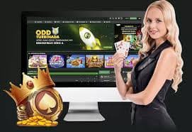 bet20